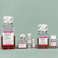 OriCell® 小鼠骨髓间充质干细胞成脂诱导分化试剂盒