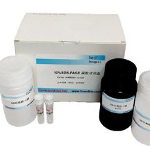 HRP标记试剂盒