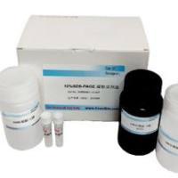 大鼠IgM ELISA试剂盒