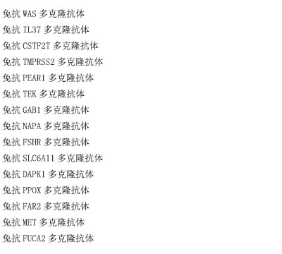 兔抗HYAL2多克隆抗体