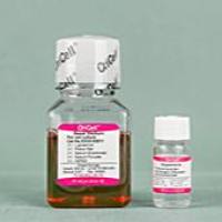 OriCell® 小鼠神经干细胞成星形胶质细胞诱导分化试剂盒