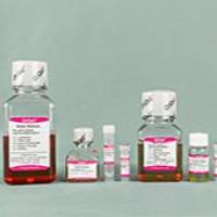 OriCell® 小鼠MC3T3-E1细胞成脂诱导分化试剂盒