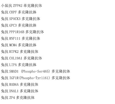 STT3A抗原重组蛋白