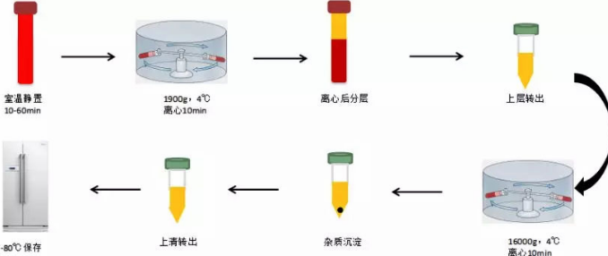 详述总RNA提取实验具体过程