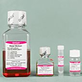 OriCell® 小鼠MC3T3-E1细胞成骨诱导分化试剂盒产品图