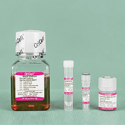 OriCell® 人脂肪间充质干细胞成软骨诱导分化试剂盒