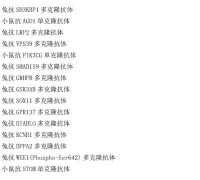 兔抗GSPT1多克隆抗体