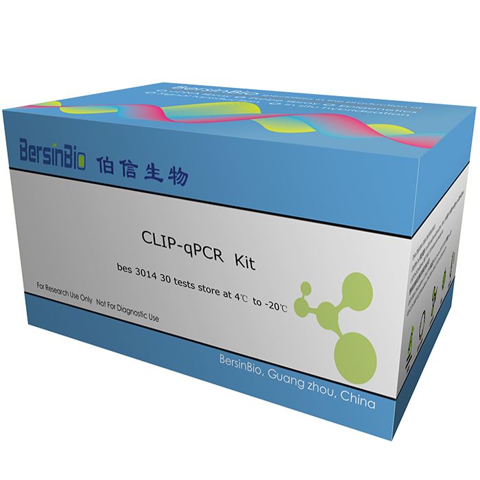 CLIP-qPCR 试剂盒（CLIP-qPCR Kit，30T）