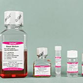 OriCell® 脂肪间充质干细胞成骨诱导分化试剂盒（多用型）