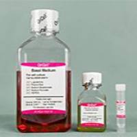 OriCell® 拟胚体（EB）形成试剂盒