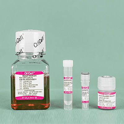 OriCell? 人相關干細胞成軟骨誘導分化試劑盒