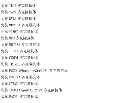小鼠抗SHPK单克隆抗体