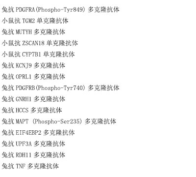 兔抗FOXS1多克隆抗体