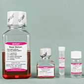 OriCell® 小鼠脂肪间充质干细胞成骨诱导分化试剂盒