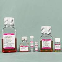 OriCell® 脂肪间充质干细胞成脂诱导分化试剂盒（多用型）