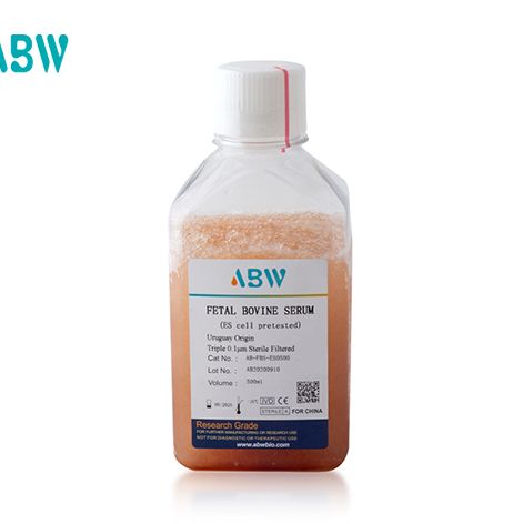 ABW 干细胞专用胎牛血清 500ML