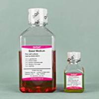 OriCell® 兔骨髓间充质干细胞完全培养基