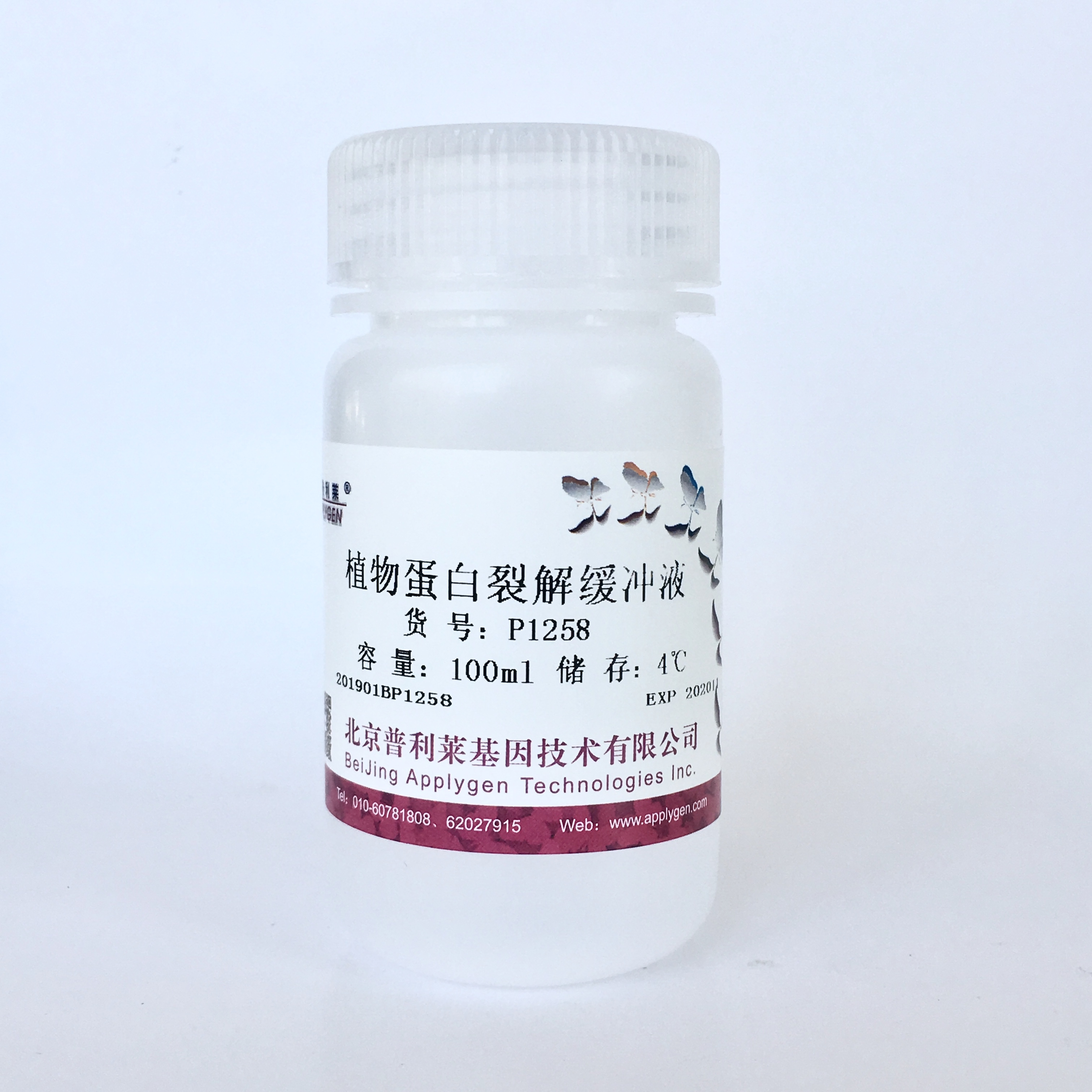 植物总蛋白提取试剂  P1258 厂家直销，提供OEM定制服