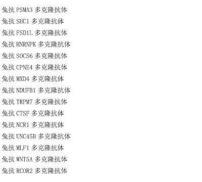 UBA6抗原重组蛋白