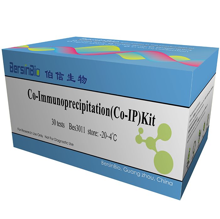 Co-IP试剂盒（Magnetic Co-Immunoprecipitation (Co-IP)Kit，12T）