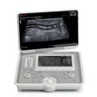 小动物超声成像系统，大小鼠超声影像系统