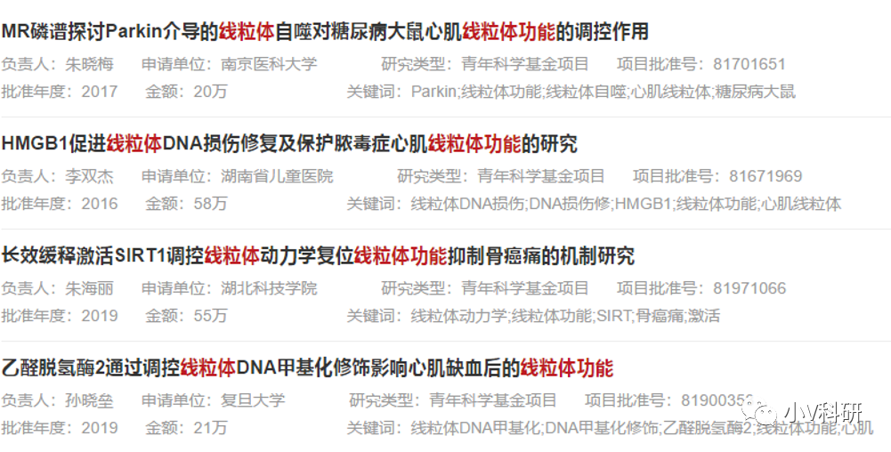 国自然中标热点分析：线粒体掀起新热潮！中标率持续飙升！