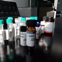 VILL抗原（重组蛋白）