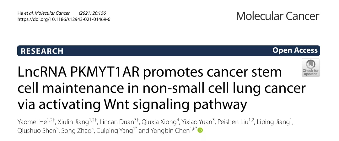 Mol Cancer丨LncRNA PKMYT1AR通过激活Wnt信号通路促进NSCLC肿瘤干细胞维持
