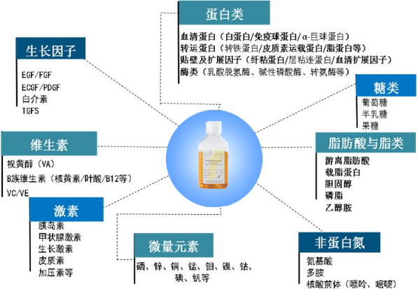 了解血清江湖，悉数家族成员，选择血清不踩雷！！！