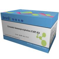 染色质免疫沉淀(ChIP)试剂盒（ChIP kit (植物)，40T）