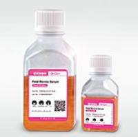 OriCell®标准级胎牛血清-南美乌拉圭