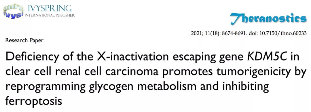 客户文章 | 肾透明细胞癌致瘤机制：KDM5C基因缺失致使糖原代谢重编和抑制铁死亡