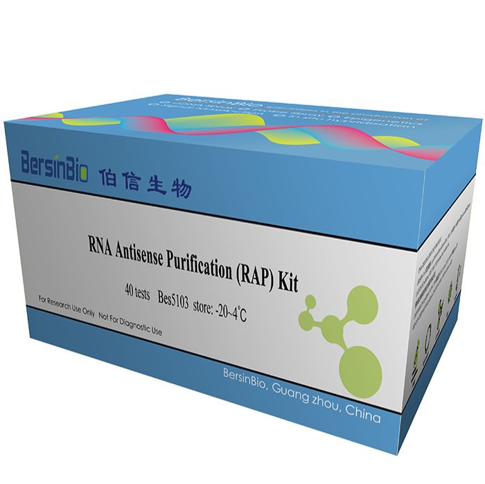 RNA反义纯化技术(RAP)试剂盒（RAP- Protein kit，30T）