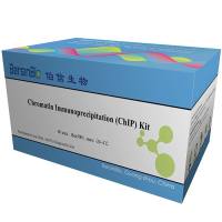 染色质免疫沉淀(ChIP)试剂盒（ChIP kit (植物)，12T）