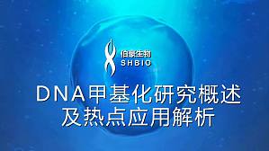 丁香实验推荐阅读