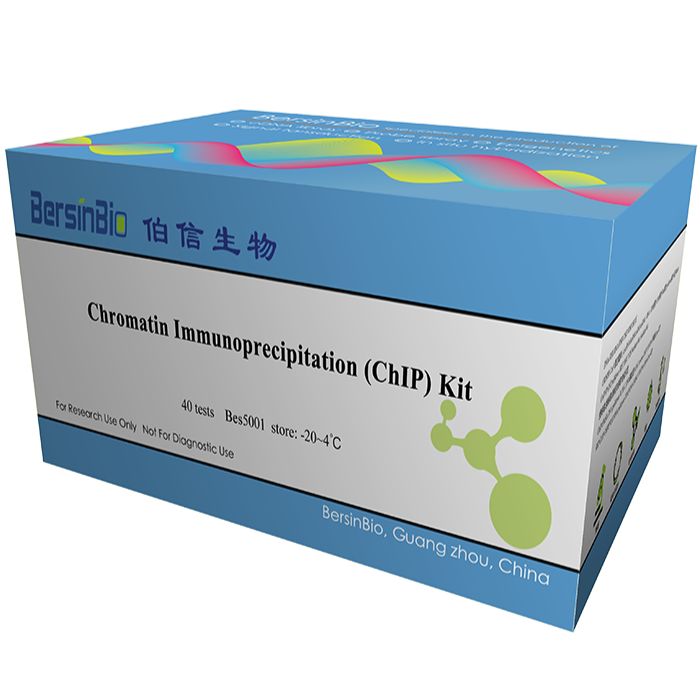 染色质免疫沉淀(ChIP)试剂盒（ChIP kit (动物)，40T）