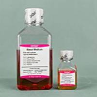 OriCell® 大鼠星形胶质细胞完全培养基