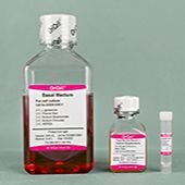 OriCell® 血清型小鼠胚胎干细胞完全培养基（通用）