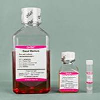 OriCell® 血清型小鼠胚胎干细胞完全培养基（通用）