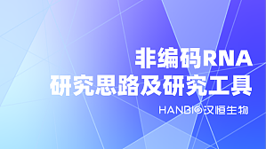 丁香实验推荐阅读