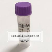 生物素偶联重组HBcAg
