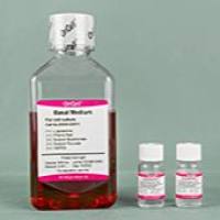 OriCell® 小鼠胚胎干细胞无血清培养基Ⅱ型（无饲养层）