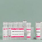 OriCell® 间充质干细胞（人）表面标记检测试剂盒