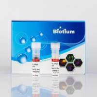 CellBrite™ 稳定 405 膜染色试剂盒 30105-T