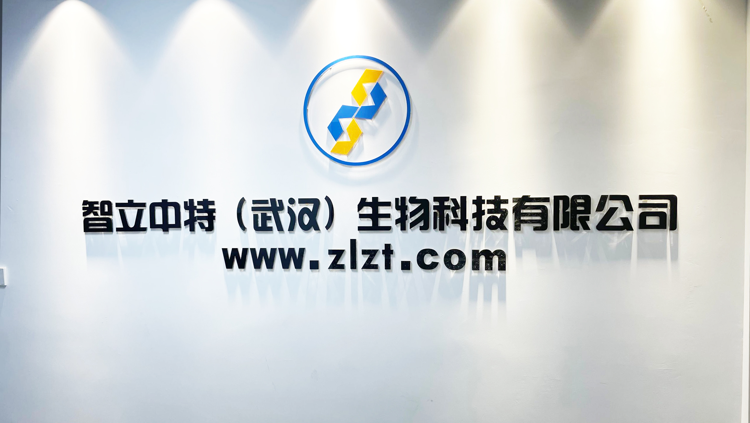 pECMV-Nfatc3-m-FLAG质粒