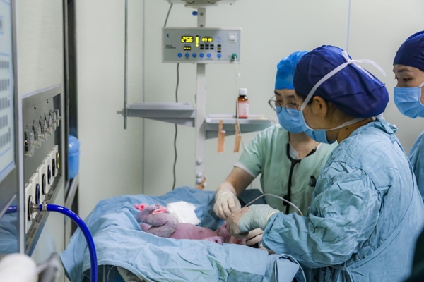 国内首例!心肺联合移植患者在湘雅二医院诞下健康女婴