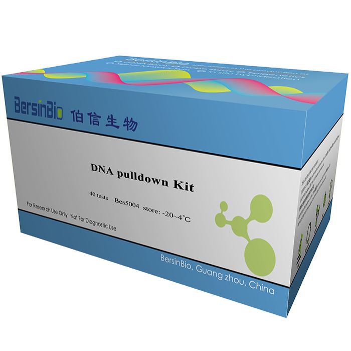 DNA pulldown试剂盒（DNA pulldown Kit，12T）