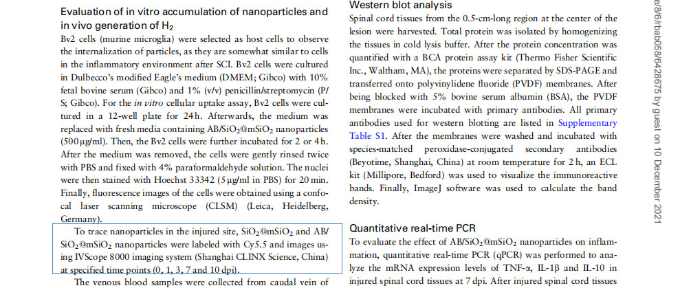 牛津大学及中国生物材料学会《再生生物材料》|IVScope8000动物成像设备在脊髓损伤恢复改善研究中应用