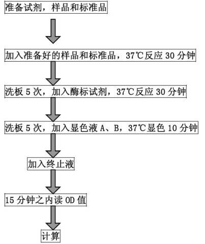 牛α干扰素(IFN-α)酶联免疫分析（ELISA)试剂盒使用说明书