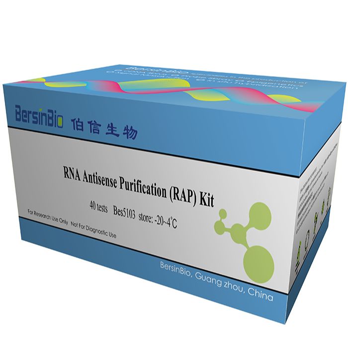 RNA反义纯化技术(RAP)试剂盒（RAP-RNA kit，30T）